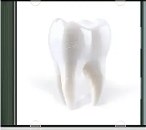Teething - Porij 